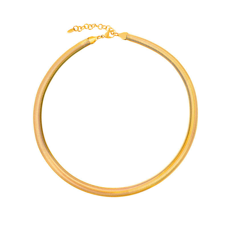 Luxurious European Style Titanium Steel Snake Bone Chain Necklace