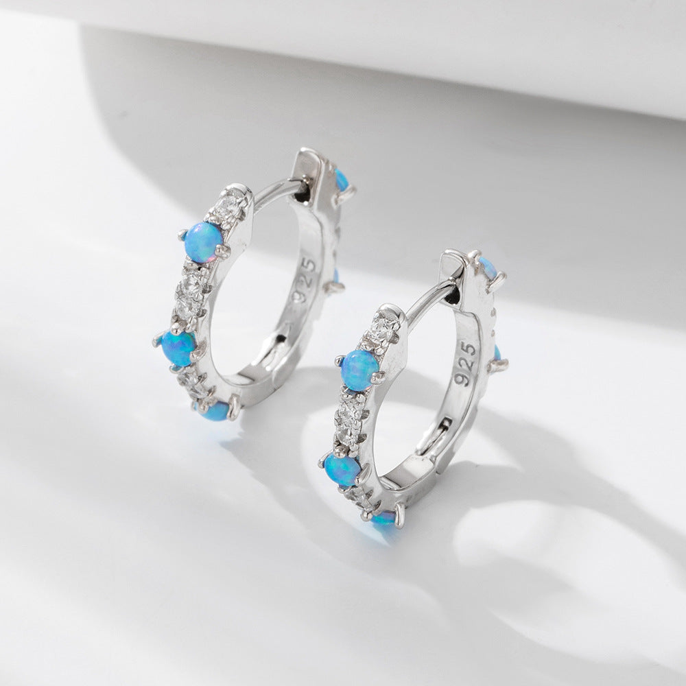 Circle Opal Zircon Earrings S925 Sterling Silver And Earrings