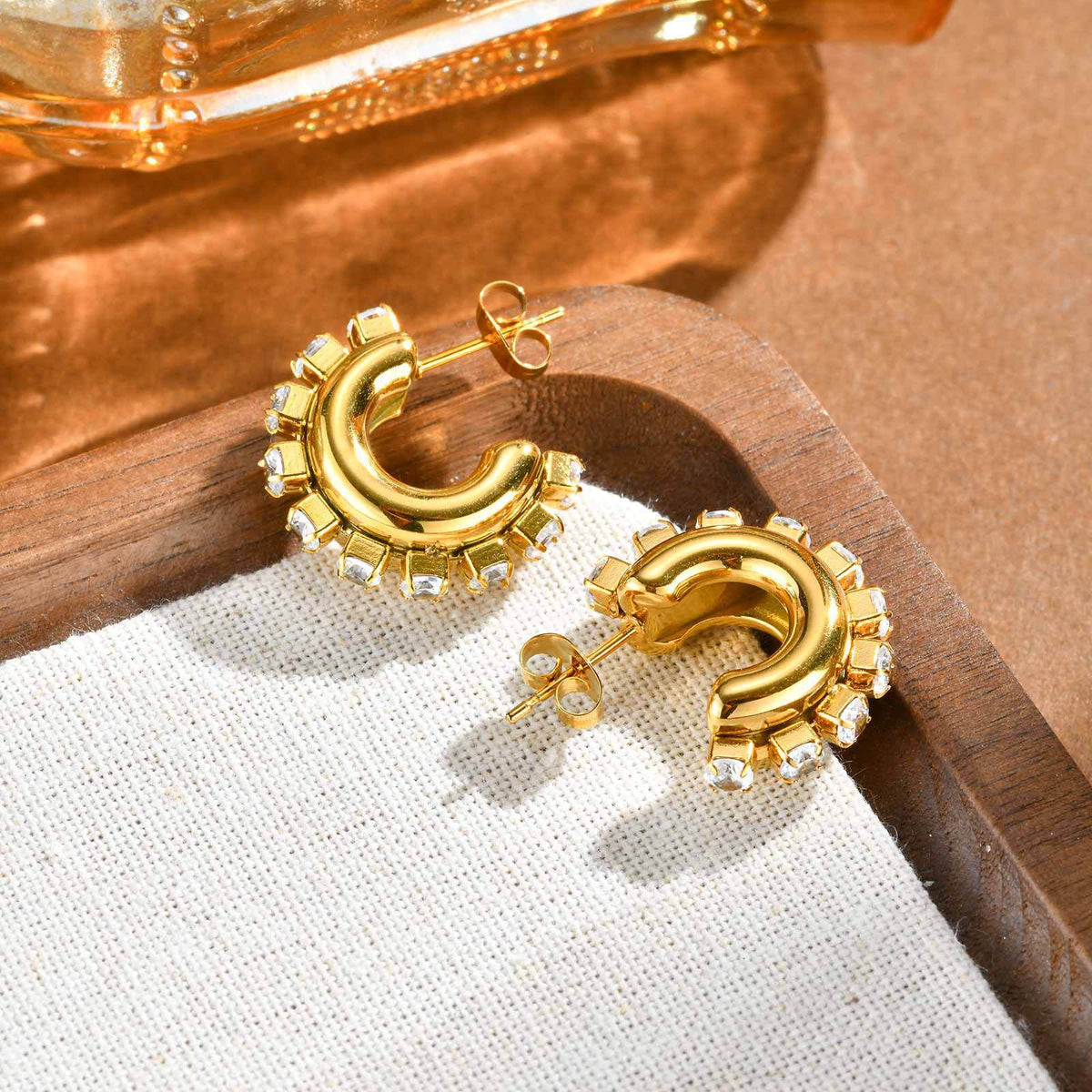 Stainless Steel Zircon Earrings
