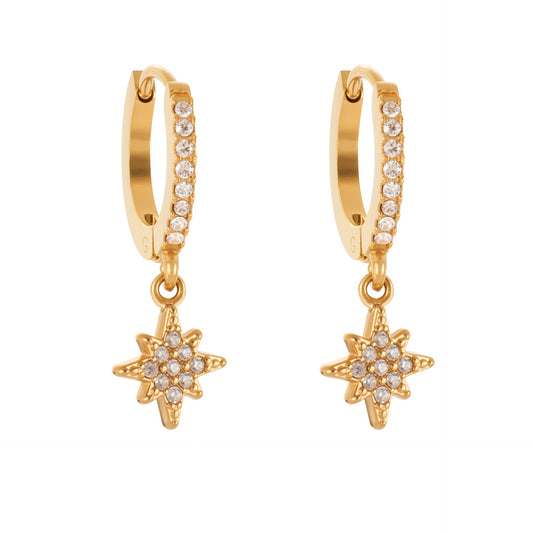 Planderful Zircon Earrings Exquisite Gold Plated For Women