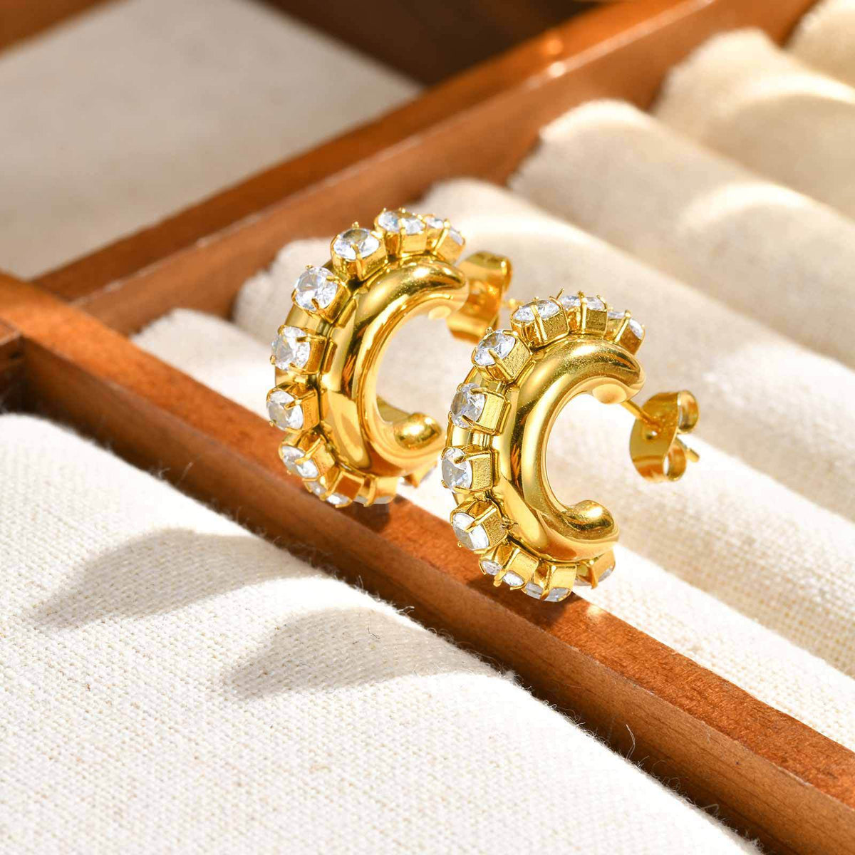 Stainless Steel Zircon Earrings