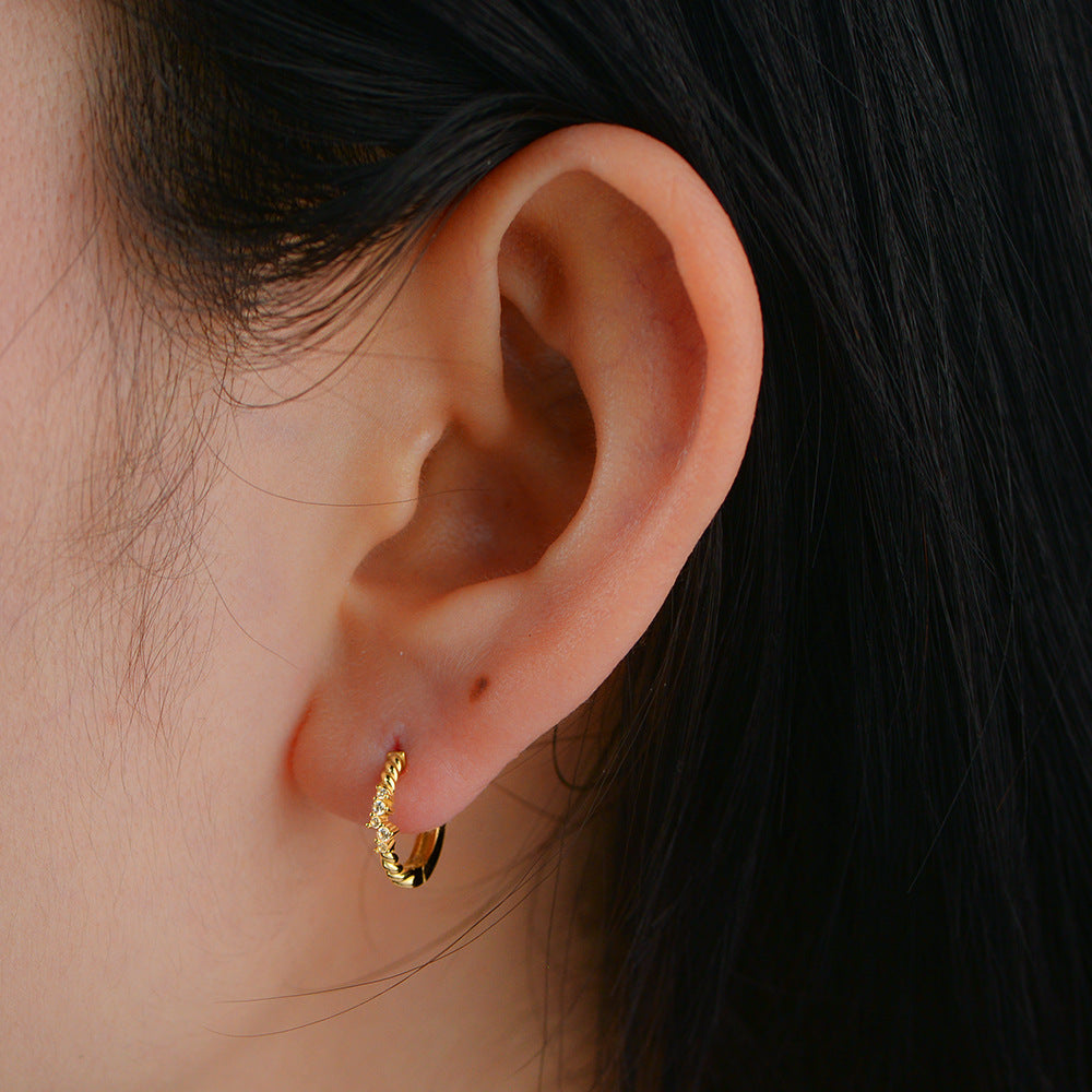 S925 Sterling Silver Zircon Earrings Ear Buckles Exquisite