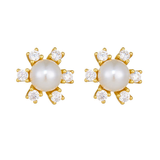 S925 Sterling Silver Pearl Earrings Exquisite Snowflake Zircon Stud Earrings Autumn And Winter