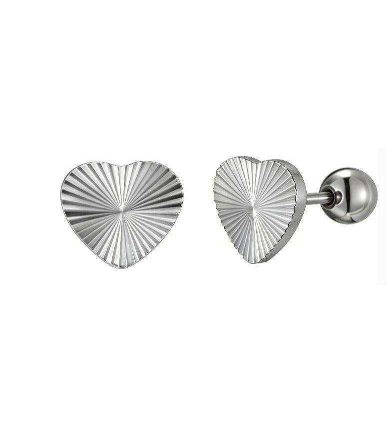Stainless Steel Zircon Earrings