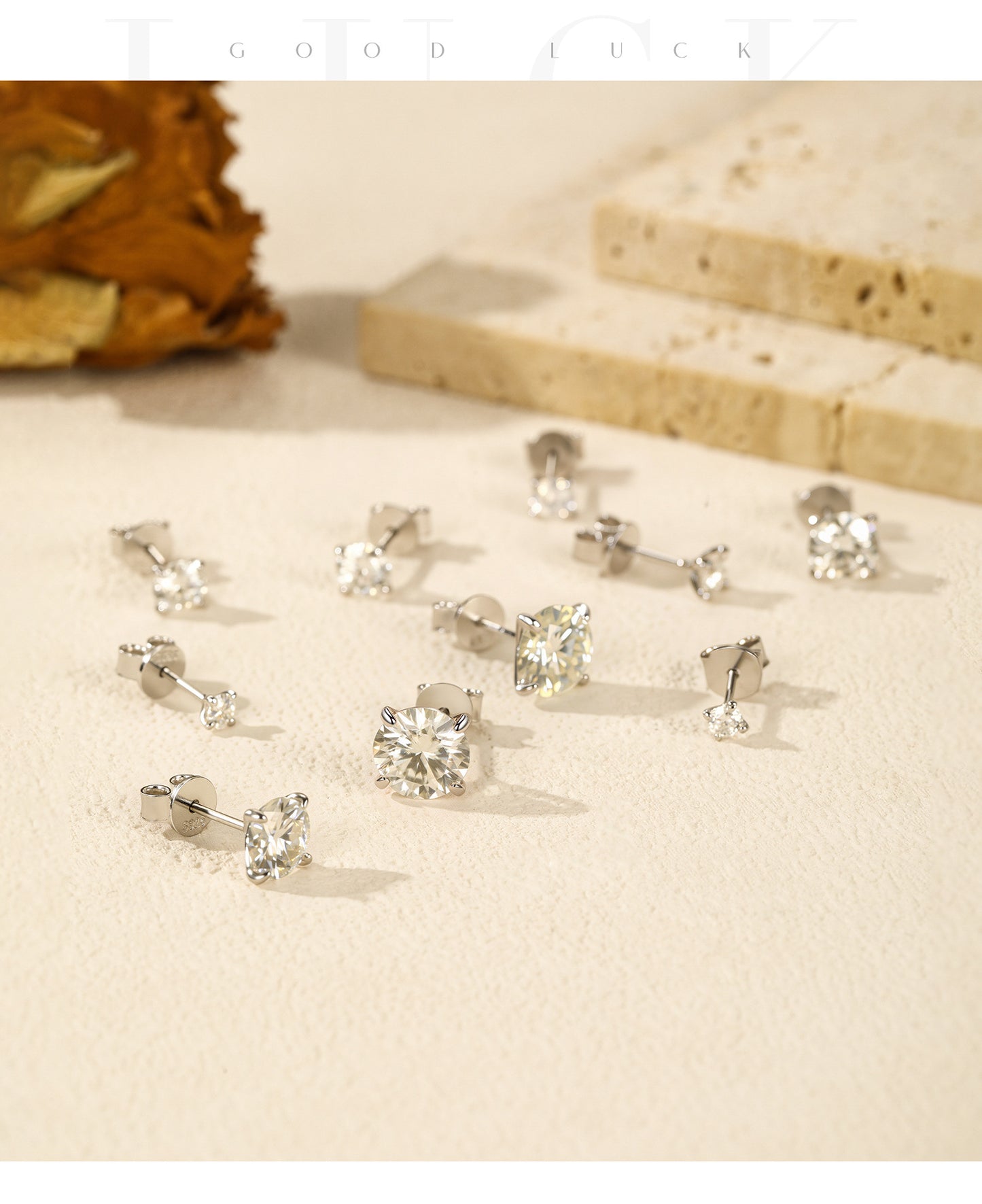 Planderful Moissanite Sparkling Earrings – Classic Low-Key Luxury