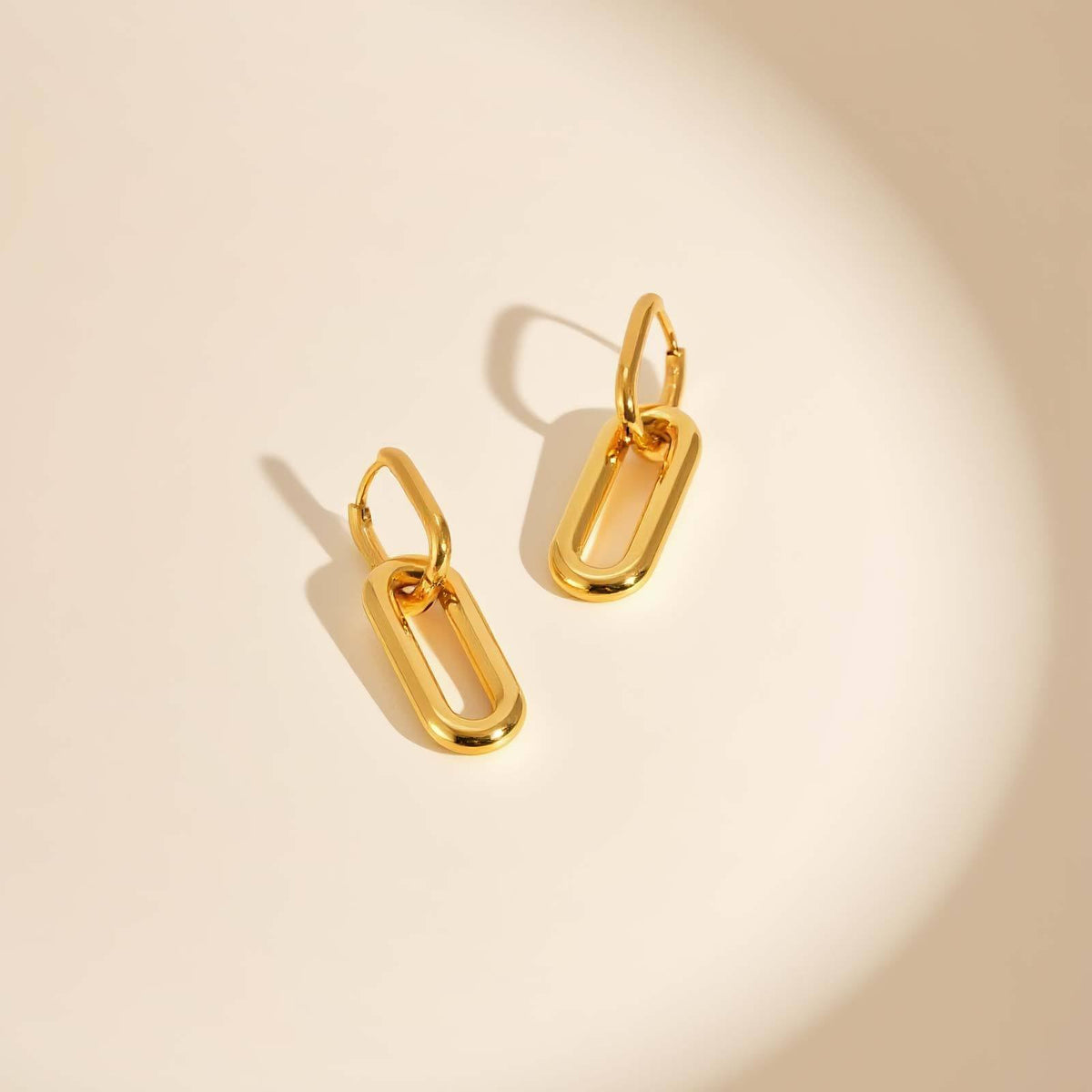 Stainless Steel Geometric Earrings
