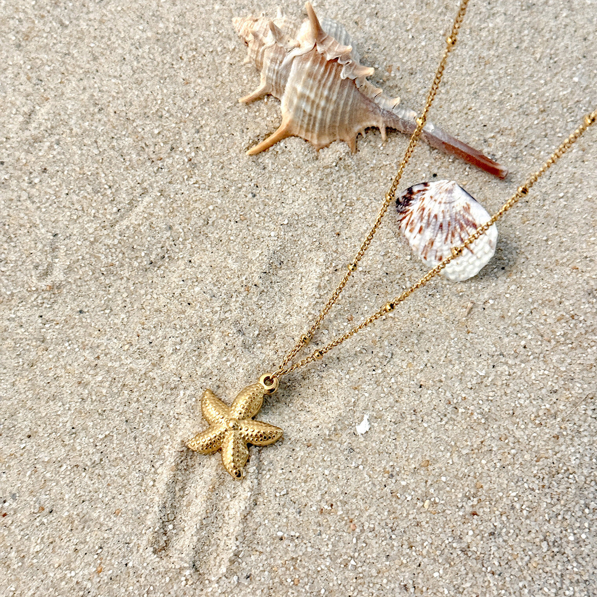 Stainless Steel Thin Chain Flower Collarbone Necklace Ocean Wind Conch Shell Star