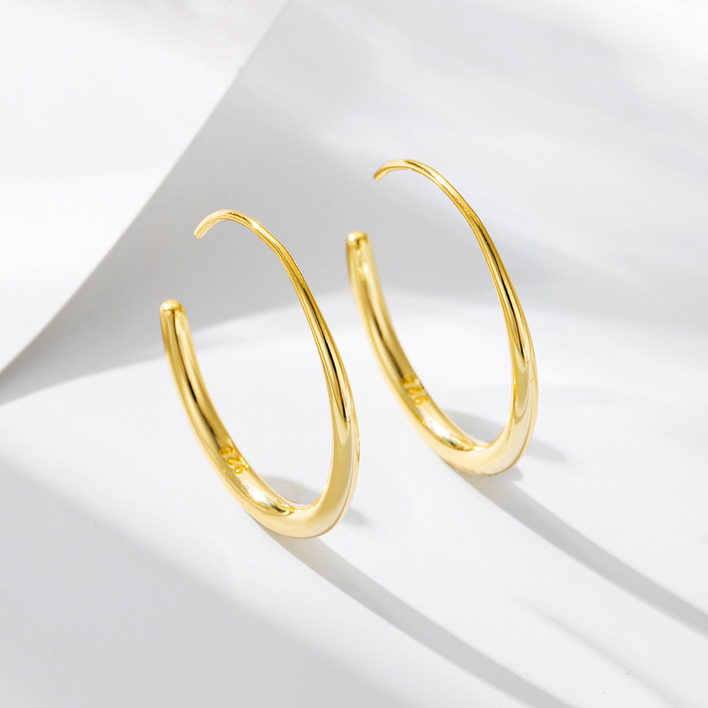 Geometric Circle Sterling Silver Earrings Creative Hip-Hop Earrings Ear